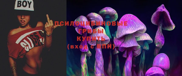 гашик Красноперекопск