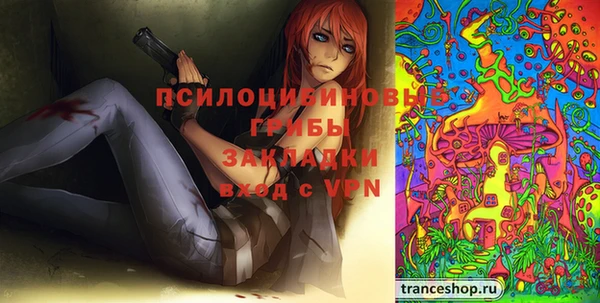шишки Костерёво