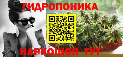 МДПВ Новокубанск