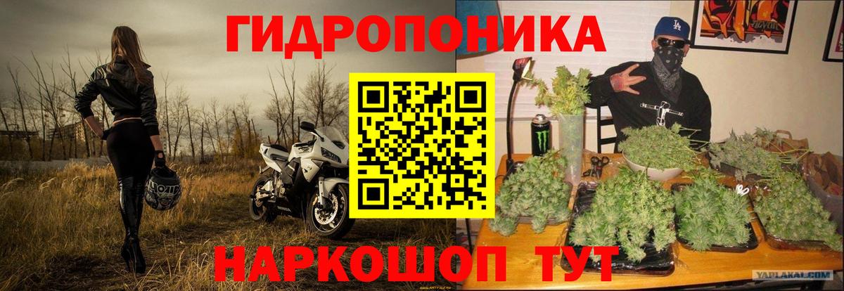 Маркс  Конопля White Widow  Конопля индика  Канабис конопля  Вход с VPN  Конопля конопля 
